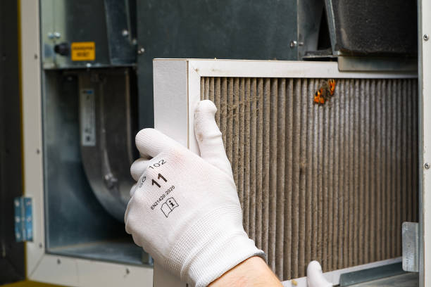 Best Emergency Air Duct Cleaning  in Staunton, IL